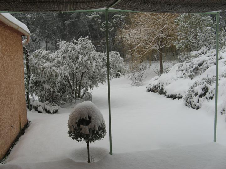 2009-01 002.JPG